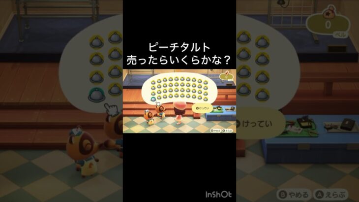 【あつ森】ピーチタルト売ったらいくらかな？ #vlog #あつ森 #あつまれどうぶつの森 #こはくちゃんねる2424  #毎日更新　毎日更新中