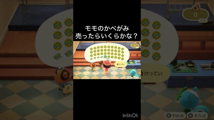 【あつ森】モモの壁紙売ったらいくらかな？　 #vlog #あつ森 #あつまれどうぶつの森 #こはくちゃんねる2424  #毎日更新　毎日更新中