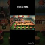 【あつ森】まきば牧場　#vlog #あつ森 #あつまれどうぶつの森 #こはくちゃんねる2424  #毎日更新　毎日更新中　ハピパラ