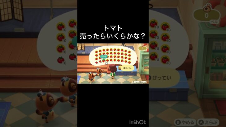 【あつ森　トマト売ったらいくらかな？】 #vlog #あつ森 #あつまれどうぶつの森 #こはくちゃんねる2424  #毎日更新　毎日更新中