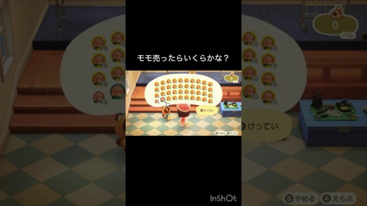 【あつ森　モモ売ったらいくらかな？】 #vlog #あつ森 #あつまれどうぶつの森 #こはくちゃんねる2424  #毎日更新　毎日更新中