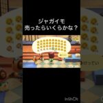 【あつ森　ジャガイモ売ったらいくらかな？】 #vlog #あつ森 #あつまれどうぶつの森 #こはくちゃんねる2424  #毎日更新　毎日更新中