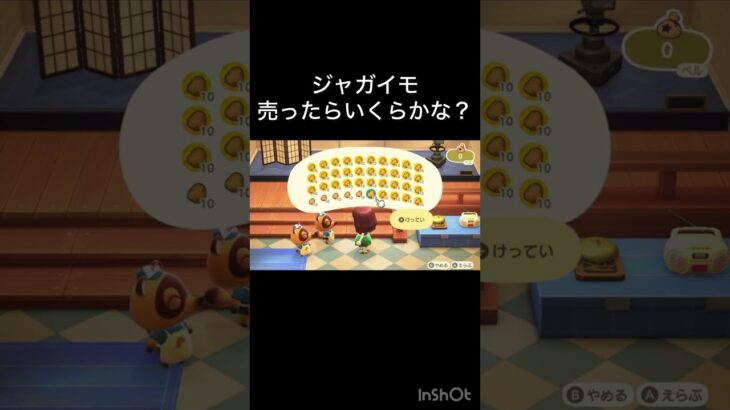 【あつ森　ジャガイモ売ったらいくらかな？】 #vlog #あつ森 #あつまれどうぶつの森 #こはくちゃんねる2424  #毎日更新　毎日更新中