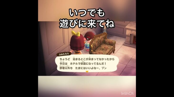 【観光客　あつ森ホテル】今日のお客様はふみたろう様　#vlog #あつ森 #あつまれどうぶつの森 #こはくちゃんねる2424  #毎日更新　毎日更新中