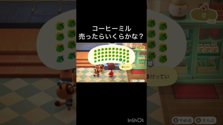 【あつ森　コーヒーミル売ったらいくらかな？】　 #vlog #あつ森 #あつまれどうぶつの森 #こはくちゃんねる2424  #毎日更新　毎日更新中