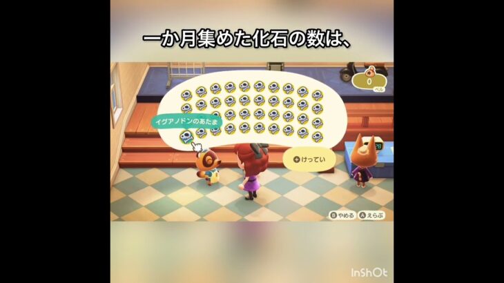 【あつ森】景気アップ条例中　化石売ったらいくら稼げる？　#vlog #あつ森 #あつまれどうぶつの森 #こはくちゃんねる2424  #毎日更新　毎日更新中