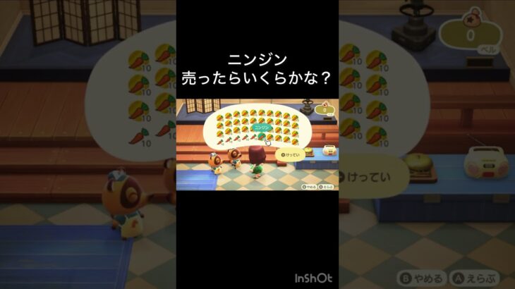 【あつ森　ニンジン売ったらいくらかな？】　 #vlog #あつ森 #あつまれどうぶつの森 #こはくちゃんねる2424  #毎日更新　毎日更新中