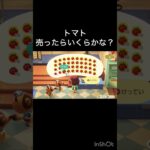 【あつ森】トマト売ったらいくらかな？　#vlog #あつ森 #あつまれどうぶつの森 #こはくちゃんねる2424   #毎日更新　毎日更新中　 金を稼ぐ