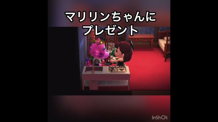 【あつ森】マリリンちゃんにプレゼント　#vlog #あつ森 #あつまれどうぶつの森 #こはくちゃんねる2424   #毎日更新　毎日更新中