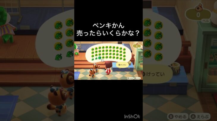 【あつ森　ペンキ缶売ったらいくらかな？】 #vlog #あつ森 #あつまれどうぶつの森 #こはくちゃんねる2424  #毎日更新　毎日更新中