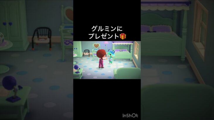 【あつ森　グルミンにプレゼント🎁】#vlog #あつ森 #あつまれどうぶつの森 #こはくちゃんねる2424  #毎日更新　毎日更新中