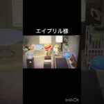 【あつ森　観光客　エイプリル】#vlog #あつ森 #あつまれどうぶつの森 #こはくちゃんねる2424  #毎日更新　毎日更新中　観光客　ホテル