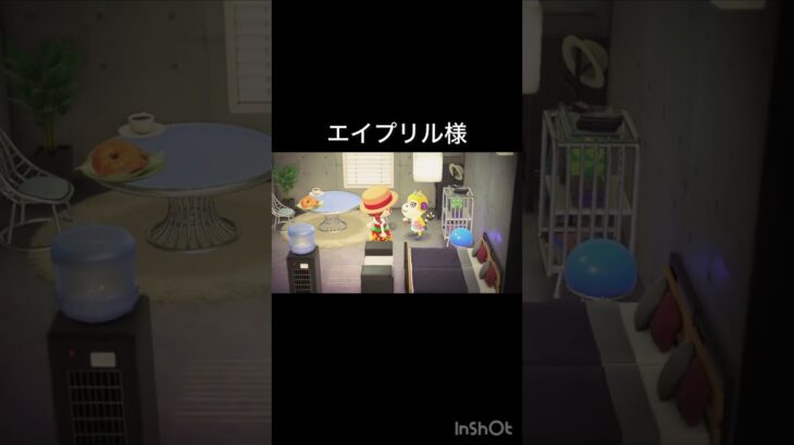 【あつ森　観光客　エイプリル】#vlog #あつ森 #あつまれどうぶつの森 #こはくちゃんねる2424  #毎日更新　毎日更新中　観光客　ホテル