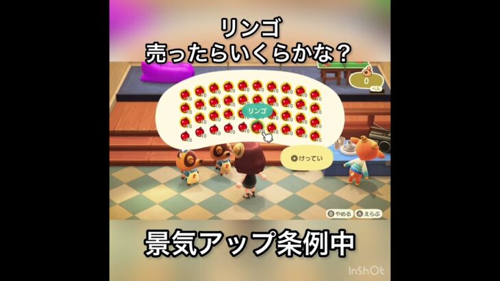 【あつ森】リンゴ売ったらいくらかな？　#vlog #あつ森 #あつまれどうぶつの森 #こはくちゃんねる2424   #毎日更新　毎日更新中　 金を稼ぐ