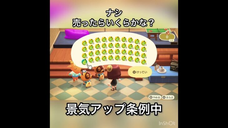 【あつ森】ナシ売ったらいくらかな？　#vlog #あつ森 #あつまれどうぶつの森 #こはくちゃんねる2424   #毎日更新　毎日更新中　 金を稼ぐ