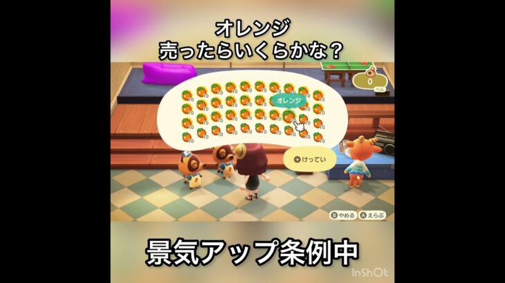 【あつ森】オレンジ売ったらいくらかな？　#vlog #あつ森 #あつまれどうぶつの森 #こはくちゃんねる2424   #毎日更新　毎日更新中　 金を稼ぐ
