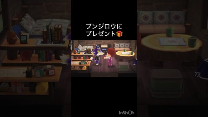 【あつ森　ブンジロウにプレゼント🎁　】#vlog #あつ森 #あつまれどうぶつの森 #こはくちゃんねる2424  #毎日更新　毎日更新