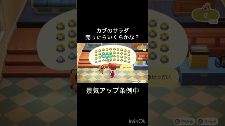 【あつ森　カブのサラダ売ったらいくらかな？　　#vlog #あつ森 #あつまれどうぶつの森 #こはくちゃんねる2424   #毎日更新　毎日更新中　 金を稼ぐ】