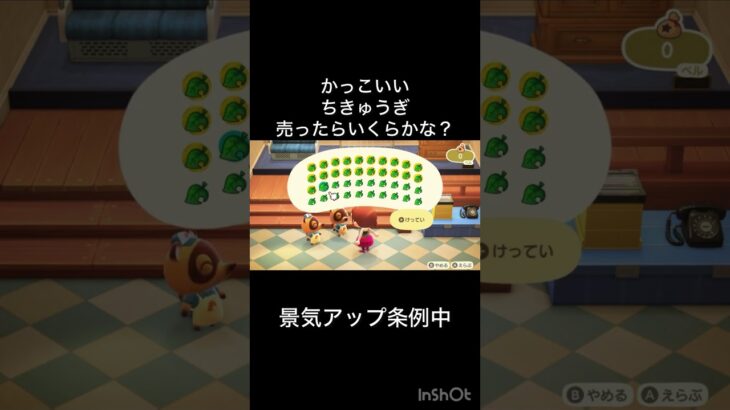 【あつ森　かっこいい地球儀売ったらいくらかな？　　#vlog #あつ森 #あつまれどうぶつの森 #こはくちゃんねる2424   #毎日更新　毎日更新中　 金を稼ぐ】