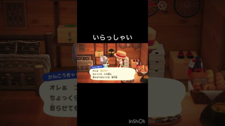 【あつ森　ゴンゾー様】#vlog #あつ森 #あつまれどうぶつの森 #こはくちゃんねる2424  #毎日更新　毎日更新中　観光客　ホテル