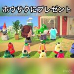 【あつ森】ホウサクにプレゼント　#vlog #あつ森 #あつまれどうぶつの森 #こはくちゃんねる2424   #毎日更新　毎日更新中