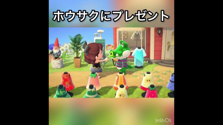 【あつ森】ホウサクにプレゼント　#vlog #あつ森 #あつまれどうぶつの森 #こはくちゃんねる2424   #毎日更新　毎日更新中