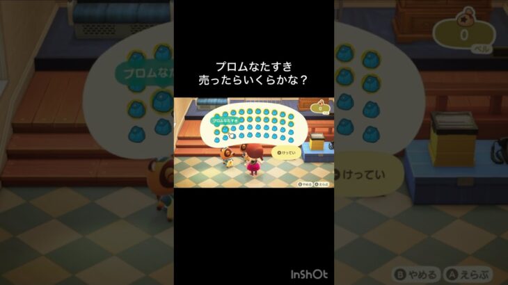 【あつ森　プロムなタスキ売ったらいくらかな？　　#vlog #あつ森 #あつまれどうぶつの森 #こはくちゃんねる2424   #毎日更新　毎日更新中　 金を稼ぐ】
