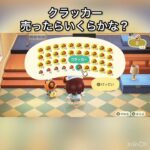 【あつ森】クラッカー売ったらいくらかな？　#vlog #あつ森 #あつまれどうぶつの森 #こはくちゃんねる2424   #毎日更新　毎日更新中　 金を稼ぐ
