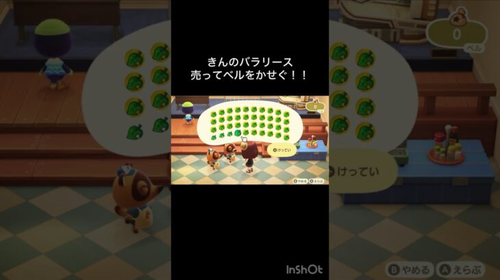 【あつ森　金のバラリース売ったらいくらかな？　　#vlog #あつ森 #あつまれどうぶつの森 #こはくちゃんねる2424   #毎日更新　毎日更新中　 金を稼ぐ　】