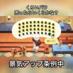 【あつ森】黒いバラ売ったらいくら稼げる？　#vlog #あつ森 #あつまれどうぶつの森 #こはくちゃんねる2424  #毎日更新　毎日更新中