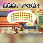 【あつ森】フルーツ売ったらいくら稼げる？　#vlog #あつ森 #あつまれどうぶつの森 #こはくちゃんねる2424  #毎日更新　毎日更新中