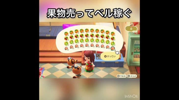 【あつ森】フルーツ売ったらいくら稼げる？　#vlog #あつ森 #あつまれどうぶつの森 #こはくちゃんねる2424  #毎日更新　毎日更新中
