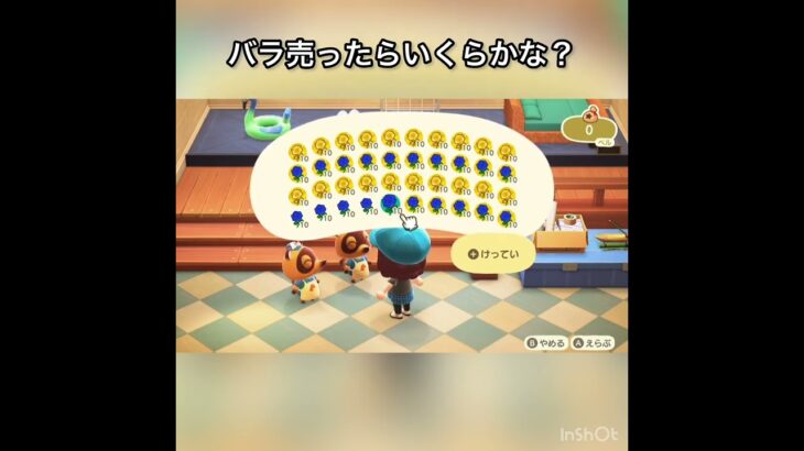 【あつ森】金のバラ青いバラ売ったらいくら稼げる？　#vlog #あつ森 #あつまれどうぶつの森 #こはくちゃんねる2424  #毎日更新　毎日更新中