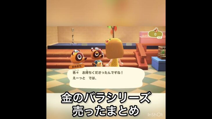 【あつ森】金のバラシリーズ売ったらいくら稼げる？　#vlog #あつ森 #あつまれどうぶつの森 #こはくちゃんねる2424  #毎日更新　毎日更新中