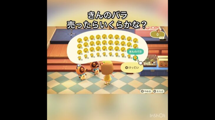 【あつ森】金のバラ売ったらいくら稼げる？　#vlog #あつ森 #あつまれどうぶつの森 #こはくちゃんねる2424  #毎日更新　毎日更新中