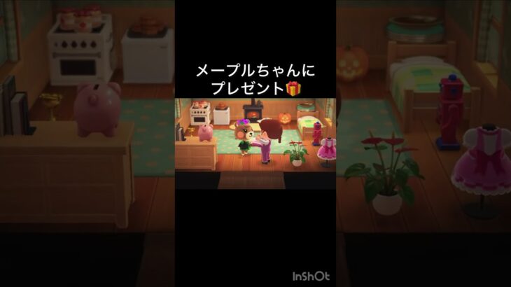 【あつ森　メープルちゃんにプレゼント🎁　】#vlog #あつ森 #あつまれどうぶつの森 #こはくちゃんねる2424  #毎日更新　毎日更新中