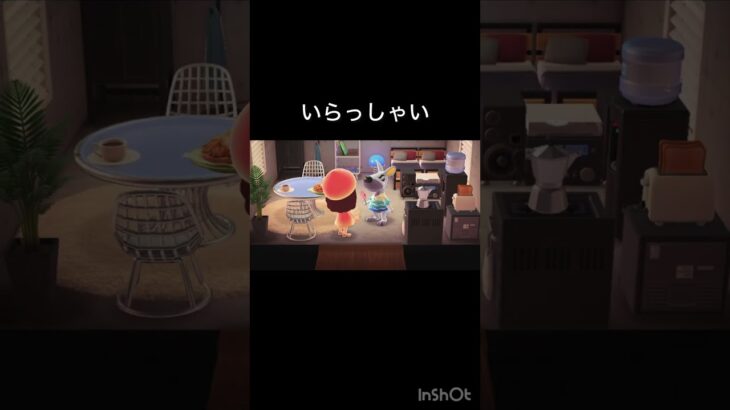 【あつ森　観光客】　カンロク様いらっしゃい　 #vlog #あつ森 #あつまれどうぶつの森 #こはくちゃんねる2424  #毎日更新　毎日更新中　ホテル　旅行