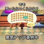 【あつ森】モモ売ったらいくらかな？　#vlog #あつ森 #あつまれどうぶつの森 #こはくちゃんねる2424   #毎日更新　毎日更新中　 金を稼ぐ　#365日