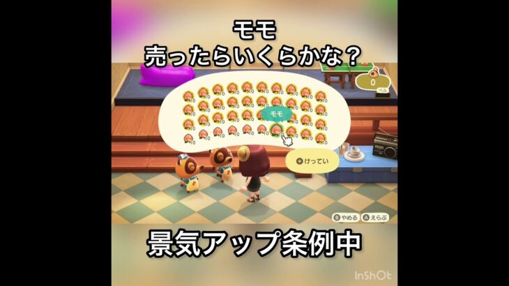 【あつ森】モモ売ったらいくらかな？　#vlog #あつ森 #あつまれどうぶつの森 #こはくちゃんねる2424   #毎日更新　毎日更新中　 金を稼ぐ　#365日