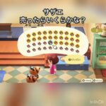 【あつ森】サザエ売ったらいくらかな？　#vlog #あつ森 #あつまれどうぶつの森 #こはくちゃんねる2424   #毎日更新　毎日更新中　金を稼ぐ　#animalcrossing