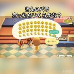 【あつ森】金のバラ売ったらいくらかな？　#vlog #あつ森 #あつまれどうぶつの森 #こはくちゃんねる2424   #毎日更新　毎日更新中　金を稼ぐ　#animalcrossing