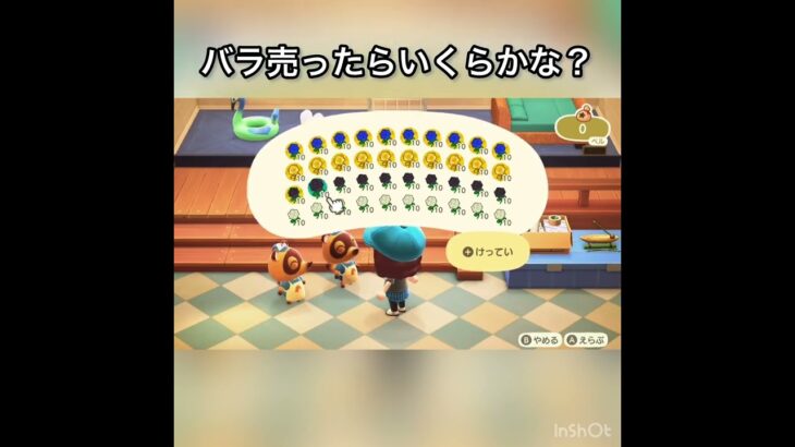 【あつ森】バラ売ったらいくらかな？　#vlog #あつまれどうぶつの森 #こはくちゃんねる2424   #毎日更新　金を稼ぐ　#animalcrossing