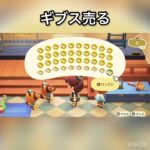 【あつ森】景気アップ条例中　ギブス売ったらいくらかな？　#vlog #あつまれどうぶつの森 #こはくちゃんねる2424   #毎日更新　金を稼ぐ　#animalcrossing