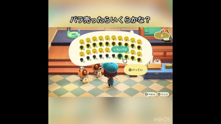 　【あつ森】バラ売ったらいくらかな？　#vlog #あつまれどうぶつの森 #こはくちゃんねる2424   #毎日更新　金を稼ぐ　#animalcrossing