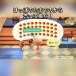　【あつ森】はっぱのたまごのから売ったらいくらかな？　#vlog #あつまれどうぶつの森 #こはくちゃんねる2424   #毎日更新　金を稼ぐ　#animalcrossing