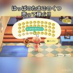 　【あつ森】はっぱのたまごの靴売ったらいくらかな？　#vlog #あつまれどうぶつの森 #こはくちゃんねる2424   #毎日更新　金を稼ぐ　#animalcrossing