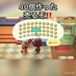 　【あつ森】グラタン売ったらいくらかな？　#vlog #あつまれどうぶつの森 #こはくちゃんねる2424   #毎日更新　金を稼ぐ　#animalcrossing