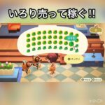 　【あつ森】いろり売ったらいくらかな？　#vlog #あつまれどうぶつの森 #こはくちゃんねる2424   #毎日更新　金を稼ぐ　#animalcrossing