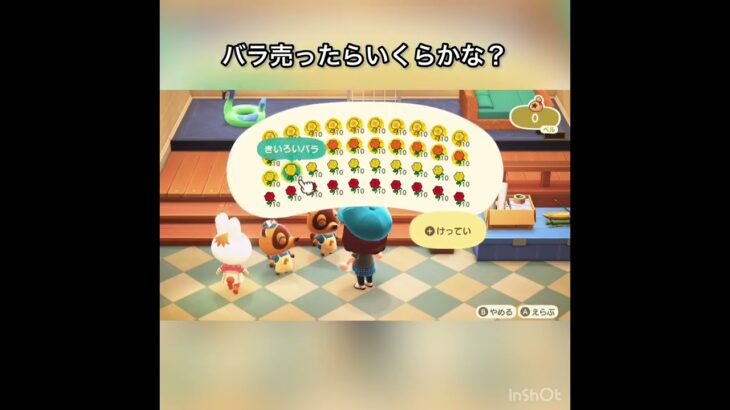 　【あつ森】バラ売ったらいくらかな？　#vlog #あつまれどうぶつの森 #こはくちゃんねる2424   #毎日更新　金を稼ぐ　#animalcrossing