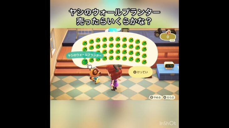　【あつ森】ヤシのウォールプランター売ったらいくらかな？　#vlog #あつまれどうぶつの森 #こはくちゃんねる2424   #毎日更新　金を稼ぐ　#animalcrossing